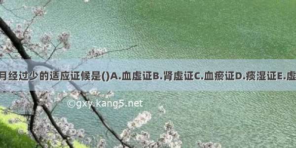 滋血汤治疗月经过少的适应证候是()A.血虚证B.肾虚证C.血瘀证D.痰湿证E.虚寒证ABCDE