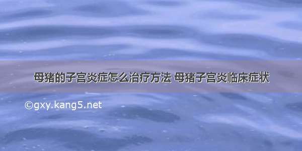 母猪的子宫炎症怎么治疗方法 母猪子宫炎临床症状