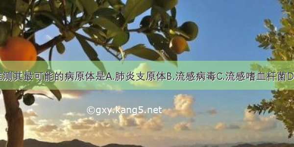 根据病情 推测其最可能的病原体是A.肺炎支原体B.流感病毒C.流感嗜血杆菌D.肺炎链球菌