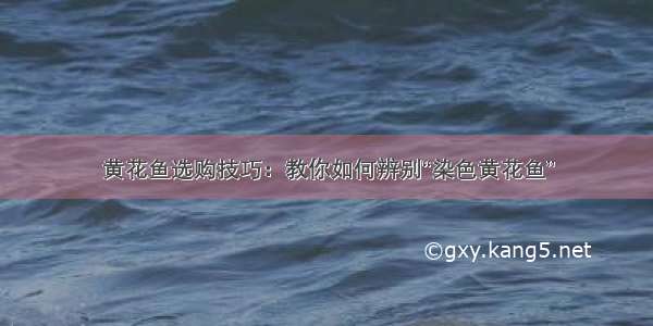 黄花鱼选购技巧：教你如何辨别“染色黄花鱼”