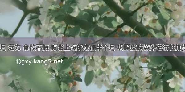 妊娠6个月 乏力 食欲不振 腹胀上腹部疼痛半个月 巩膜皮肤黄染进行性加深 肝界不