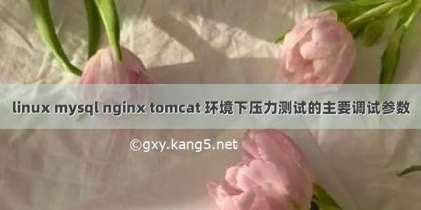 linux mysql nginx tomcat 环境下压力测试的主要调试参数