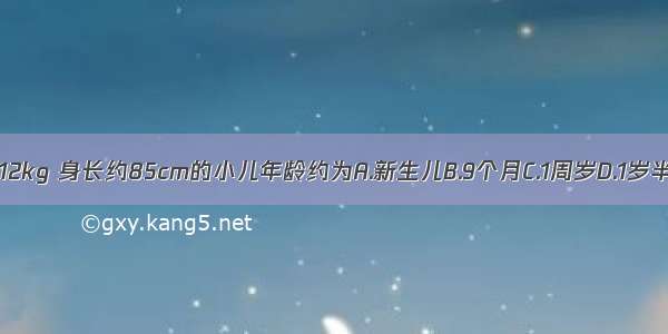 体重约12kg 身长约85cm的小儿年龄约为A.新生儿B.9个月C.1周岁D.1岁半E.2岁