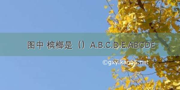 图中 槟榔是（）A.B.C.D.E.ABCDE