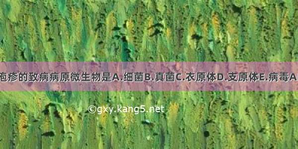 带状疱疹的致病病原微生物是A.细菌B.真菌C.衣原体D.支原体E.病毒ABCDE