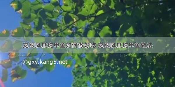 龙眼凤爪炖甲鱼如何做好吃 龙眼凤爪炖甲鱼做法