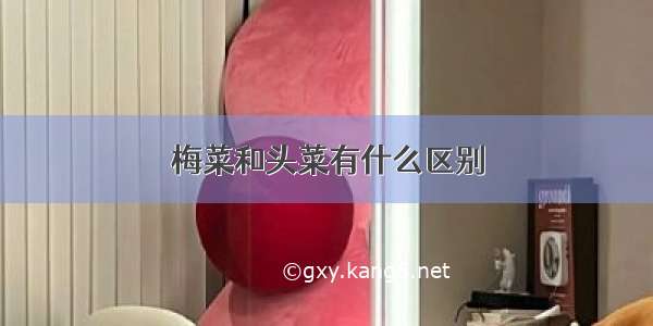 梅菜和头菜有什么区别