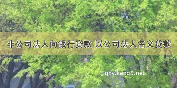 非公司法人向银行贷款 以公司法人名义贷款