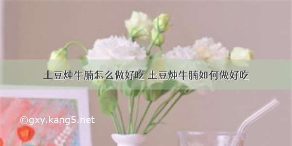 土豆炖牛腩怎么做好吃 土豆炖牛腩如何做好吃