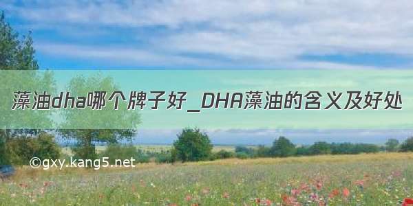 藻油dha哪个牌子好_DHA藻油的含义及好处