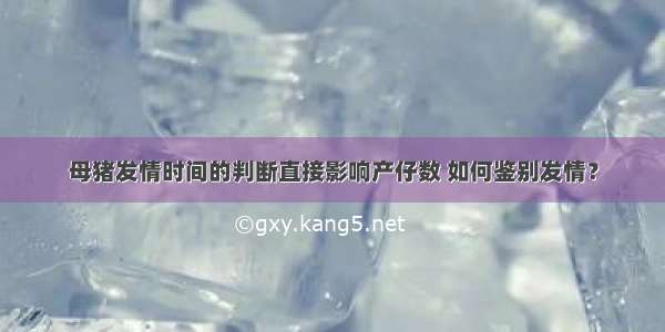 母猪发情时间的判断直接影响产仔数 如何鉴别发情？