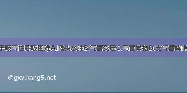 下列哪项不属于吸气性呼吸困难A.喉头水肿B.气管受压C.气管异物D.支气管哮喘E.喉癌ABCDE