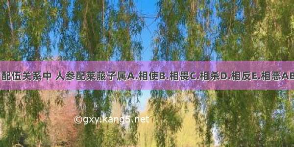 中药配伍关系中 人参配莱菔子属A.相使B.相畏C.相杀D.相反E.相恶ABCDE