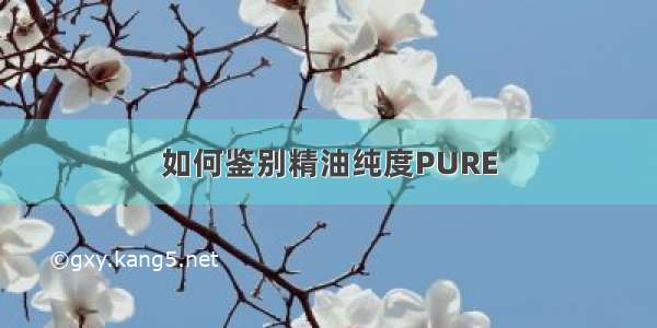 如何鉴别精油纯度PURE