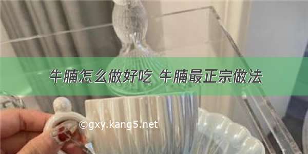 牛腩怎么做好吃 牛腩最正宗做法