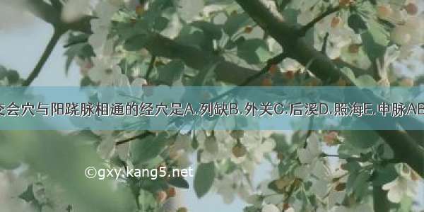 八脉交会穴与阳跷脉相通的经穴是A.列缺B.外关C.后溪D.照海E.申脉ABCDE