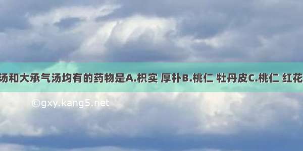 大黄牡丹汤和大承气汤均有的药物是A.枳实 厚朴B.桃仁 牡丹皮C.桃仁 红花D.大黄 枳