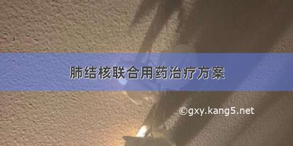 肺结核联合用药治疗方案