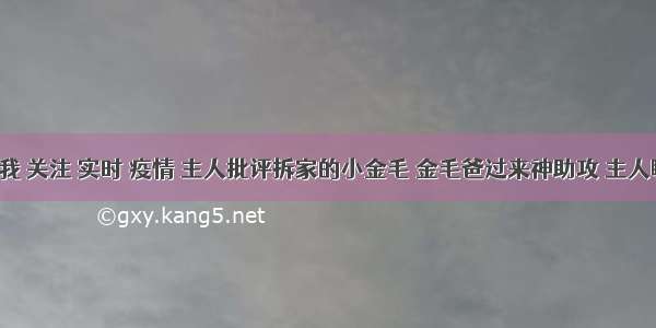 刷新 翻看 我 关注 实时 疫情 主人批评拆家的小金毛 金毛爸过来神助攻 主人瞬间无语了