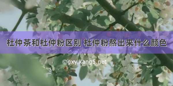 杜仲茶和杜仲粉区别 杜仲粉熬出来什么颜色