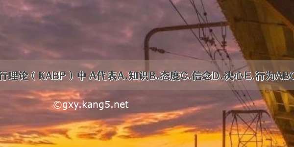 知信行理论（KABP）中 A代表A.知识B.态度C.信念D.决心E.行为ABCDE