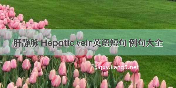 肝静脉 Hepatic vein英语短句 例句大全