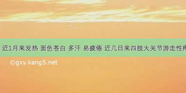 患儿4岁 近1月来发热 面色苍白 多汗 易疲倦 近几日来四肢大关节游走性疼痛 为确