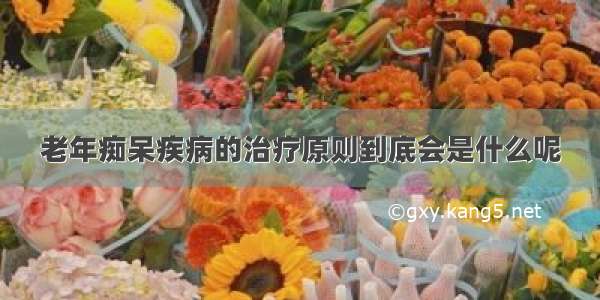 老年痴呆疾病的治疗原则到底会是什么呢