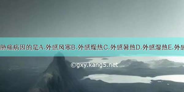 下列各项 属于胁痛病因的是A.外感风寒B.外感燥热C.外感暑热D.外感湿热E.外感风湿ABCDE