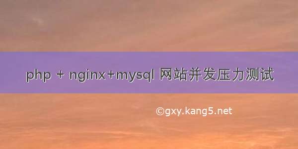 php + nginx+mysql 网站并发压力测试