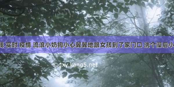 刷新 翻看 我 实时 疫情 流浪小奶狗小心翼翼地跟女孩到了家门口 洗个澡后小家伙萌翻了