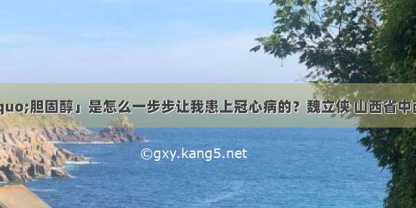 「&ldquo;坏&rdquo;胆固醇」是怎么一步步让我患上冠心病的？魏立侠 山西省中西医结合医院内分泌