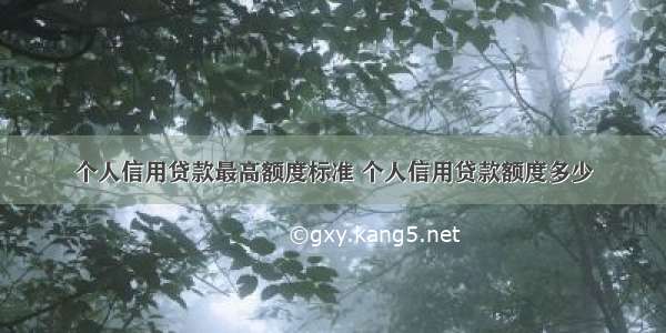 个人信用贷款最高额度标准 个人信用贷款额度多少