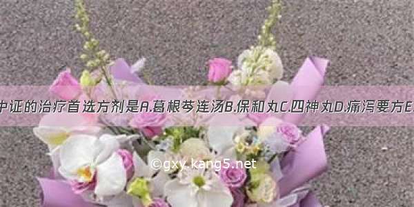 泄泻湿热伤中证的治疗首选方剂是A.葛根芩连汤B.保和丸C.四神丸D.痛泻要方E.藿香正气散