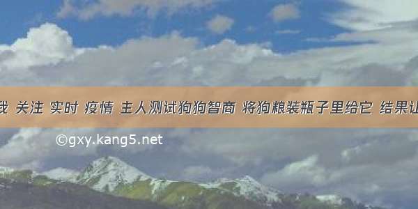 刷新 翻看 我 关注 实时 疫情 主人测试狗狗智商 将狗粮装瓶子里给它 结果让他佩服不已