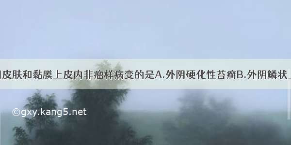 下列属于外阴皮肤和黏膜上皮内非瘤样病变的是A.外阴硬化性苔癣B.外阴鳞状上皮增生C.外