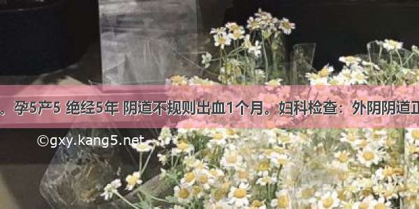 女性 55岁。孕5产5 绝经5年 阴道不规则出血1个月。妇科检查：外阴阴道正常 宫颈肥