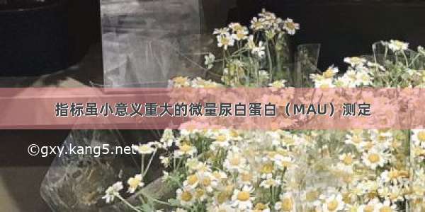 指标虽小意义重大的微量尿白蛋白（MAU）测定