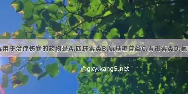 可替代氯霉素用于治疗伤寒的药物是A.四环素类B.氨基糖苷类C.青霉素类D.氟喹诺酮类E.大