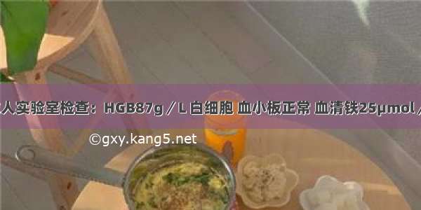 成人实验室检查：HGB87g／L 白细胞 血小板正常 血清铁25μmol／L