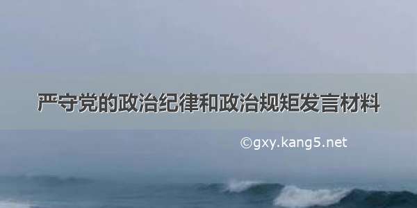 严守党的政治纪律和政治规矩发言材料