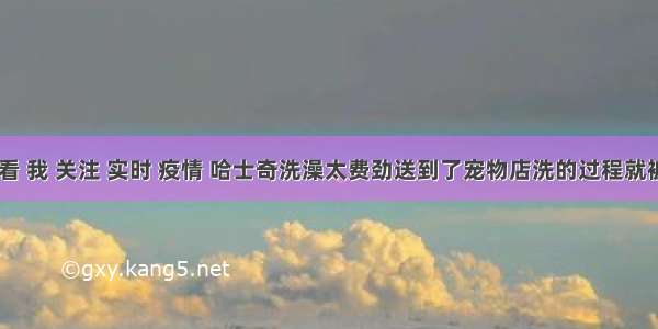 刷新 翻看 我 关注 实时 疫情 哈士奇洗澡太费劲送到了宠物店洗的过程就被宠物店