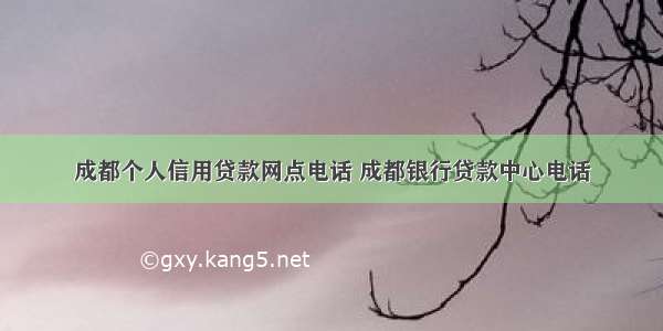 成都个人信用贷款网点电话 成都银行贷款中心电话