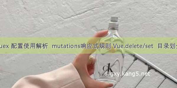 vuex 配置使用解析  mutations响应式规则 Vue.delete/set  目录划分