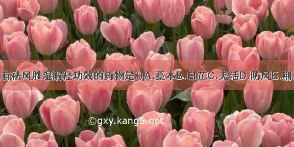 具有祛风胜湿解痉功效的药物是()A.藁本B.白芷C.羌活D.防风E.荆芥