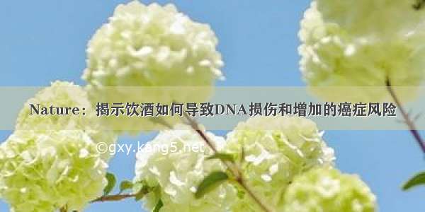 Nature：揭示饮酒如何导致DNA损伤和增加的癌症风险