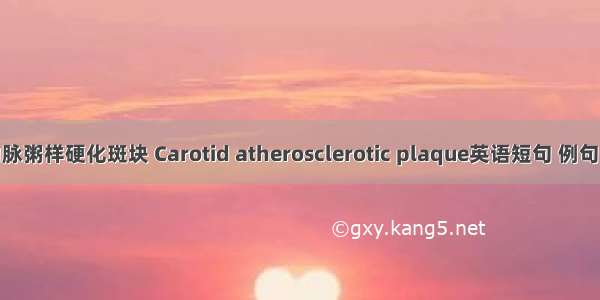 颈动脉粥样硬化斑块 Carotid atherosclerotic plaque英语短句 例句大全