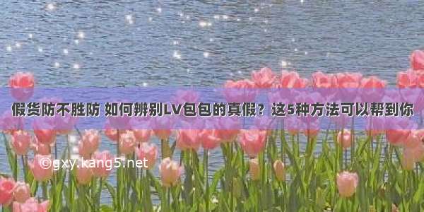 假货防不胜防 如何辨别LV包包的真假？这5种方法可以帮到你