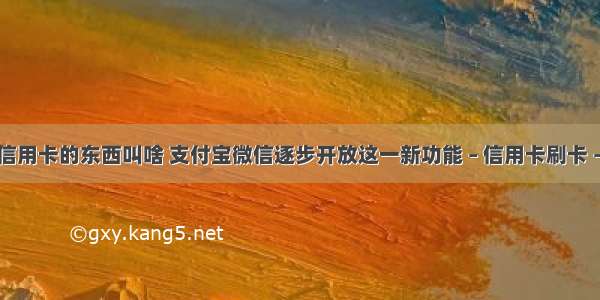 提现信用卡的东西叫啥 支付宝微信逐步开放这一新功能 – 信用卡刷卡 – 前端