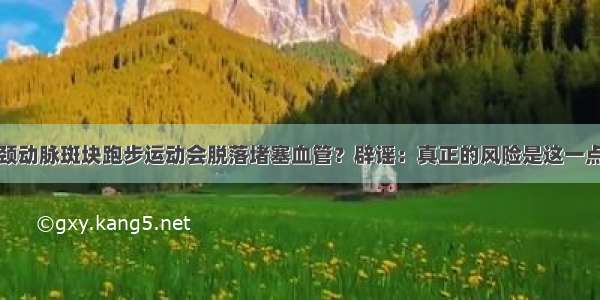 颈动脉斑块跑步运动会脱落堵塞血管？辟谣：真正的风险是这一点